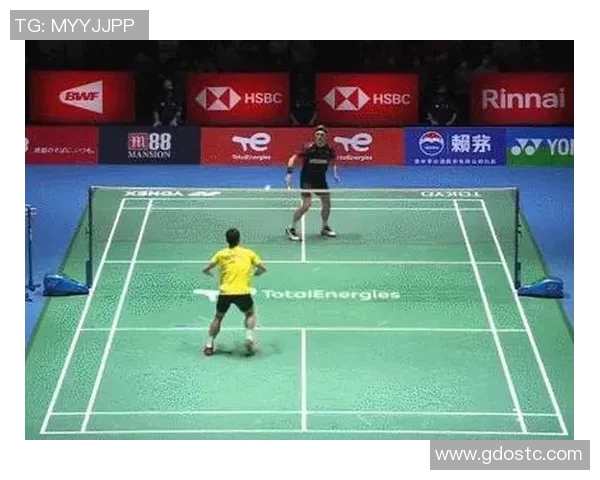 深入分析成都滑板队区域防守战术及其在比赛中的应用效果