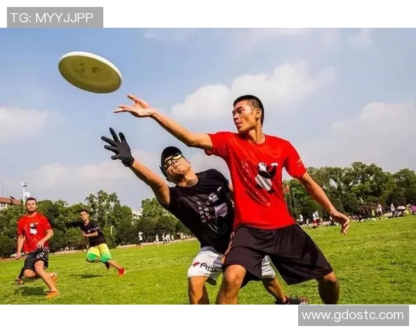 飞盘竞技新视角:深入剖析杭州飞盘队员的个人能力与团队协作